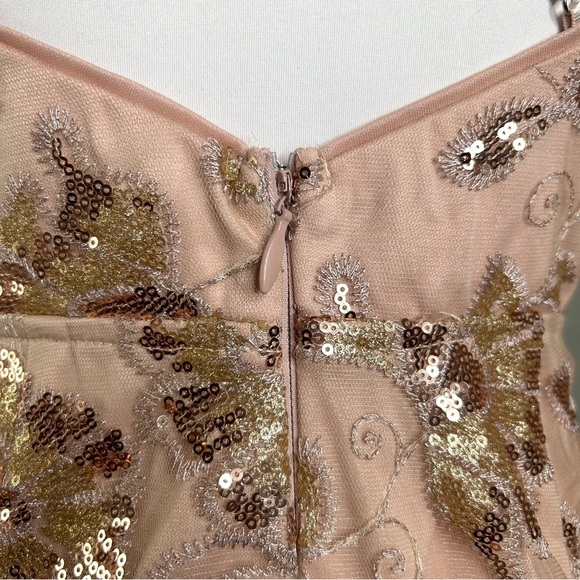 Maniju Dress Blush Embroidered Sequin Faux Wrap Fairycore Mini - Picture 6 of 9